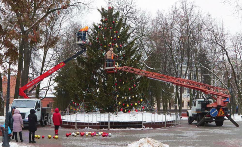 В Брянске установили главную елку города
