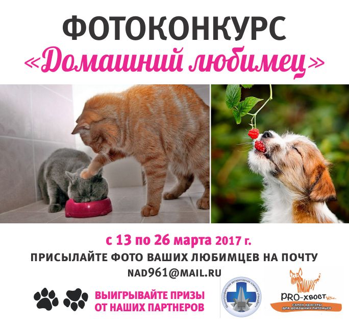 Внимание! Фотоконкурс "Домашний любимец"